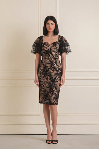 Lace Overlay Dress