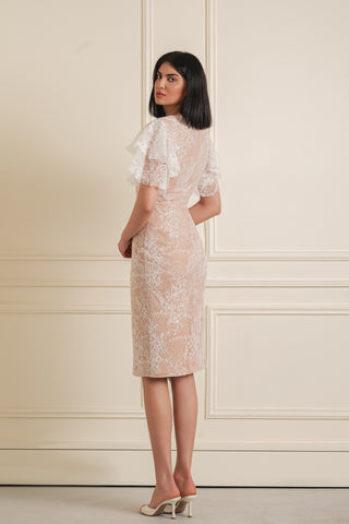 Lace Overlay Dress