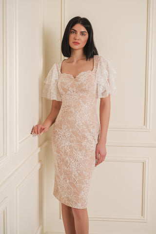 Lace Overlay Dress